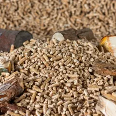Góra pelletu drzewnego, który jest najlepszy pellet na rynku, z kawałkami drewna.