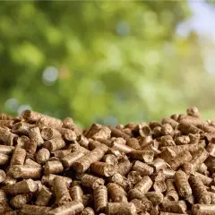 Góra pelletu drzewnego, idealna na zimę. Szukasz najtańszy pellet z dostawą? Oto rozwiązanie!