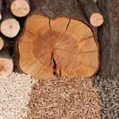 Drewno i różne rodzaje pelletu, pokazujące, z czego się robi pellet.