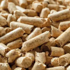 Zbliżenie na granulat drzewny. Zastanawiasz się, ile kosztuje worek pelletu? Oto odpowiedź w postaci wizualnej.