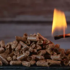 Płonąca zapałka zbliża się do sterty pelletu. Dystrybutorzy pelletu Barlinek oferują ekologiczne ogrzewanie.
