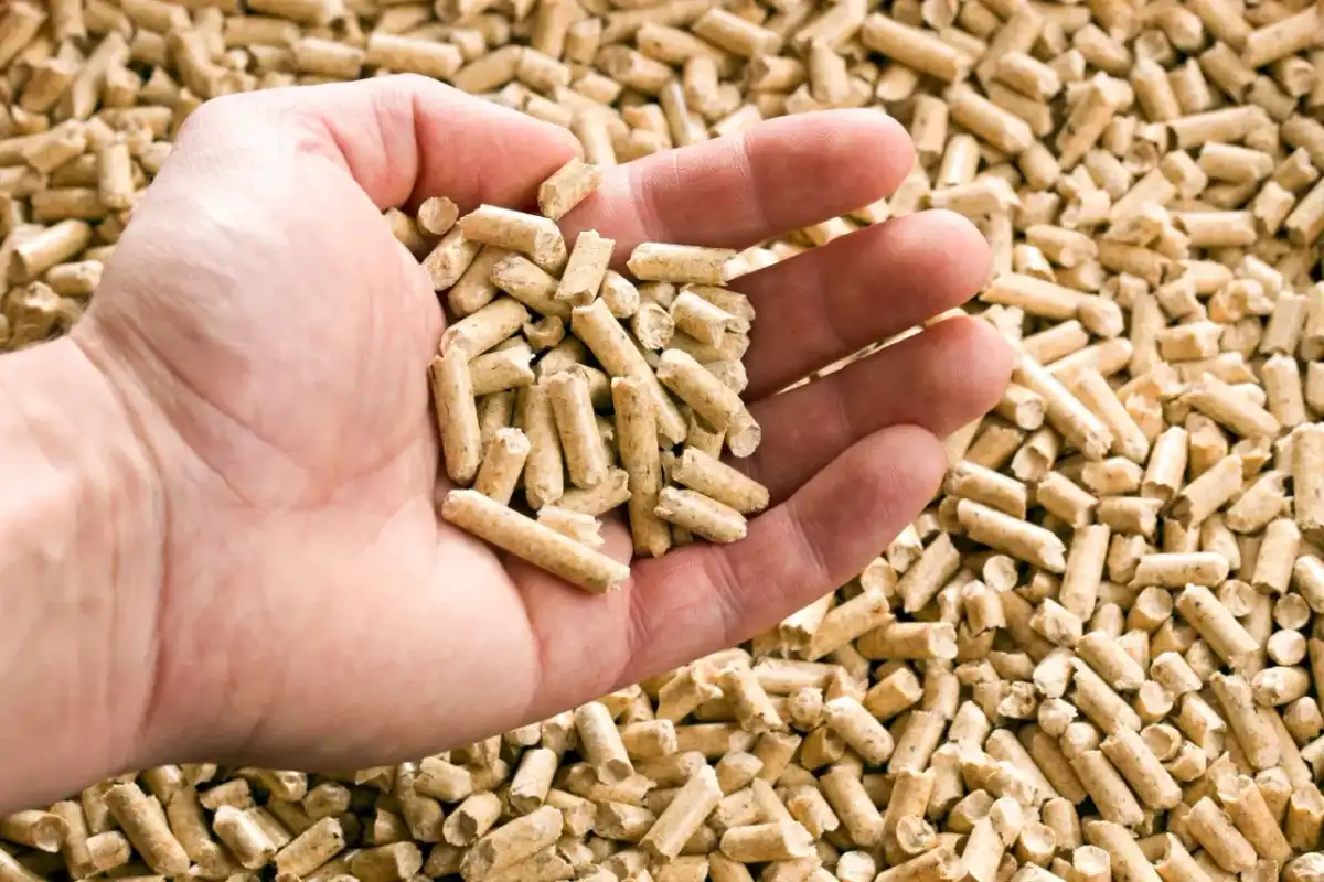 Pellet Ruda Śląska: Gdzie kupić, ceny i dostawa (2026)