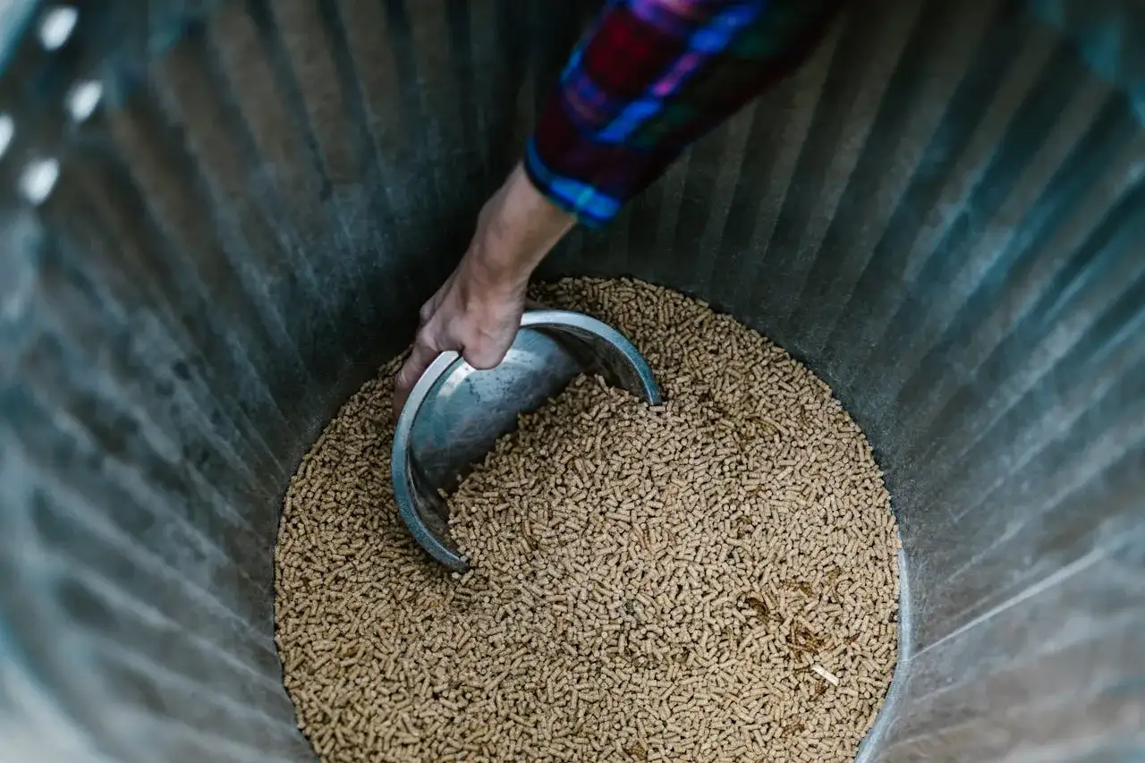 Ręka nabiera łopatką drobne granulki, które są podstawą do tego, jak powstaje pellet.